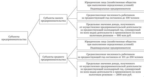  Возможности и перспективы развития конституций в международной практике 