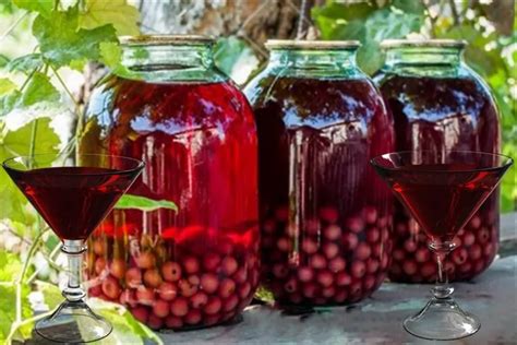  Возможности приготовления компота изабелла без использования сахара