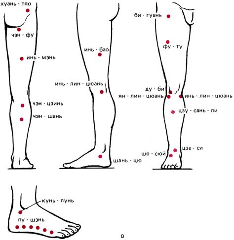  Дополнительные подходы к активации важных точек на нижних конечностях 
