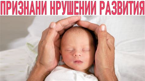  Заметьте, проверьте, есть ли признаки лактации у вашей пушистой подруги