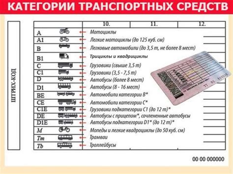  Значение регистрации мопеда в организации, ответственной за дорожное движение 