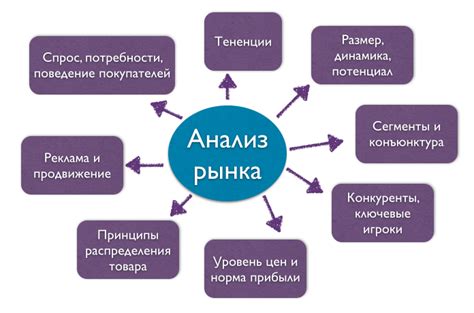  Исследование рынка и анализ потребительского спроса 