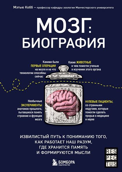  Исторический обзор исследований: путь к пониманию структуры мозга и его связи с речью 