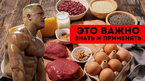  Как выбирать и употреблять жиры в рационе питания 