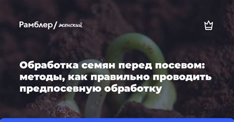  Как правильно проводить сенсорную оценку грибов перед сбором 