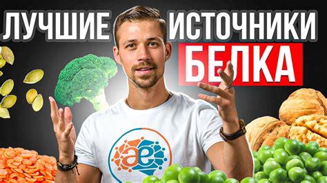  Комплексность растительных продуктов для полноценного поступления всех необходимых аминокислот
