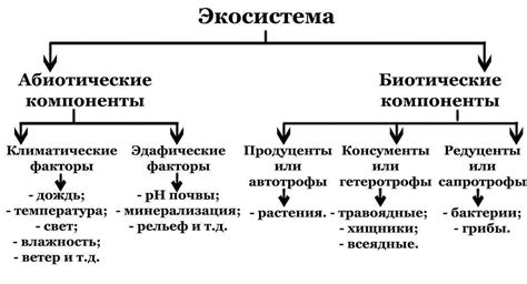  Компоненты и структура КСЭОН 