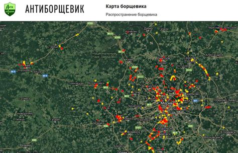  Контроль и предотвращение распространения опасного растения в нашей стране 