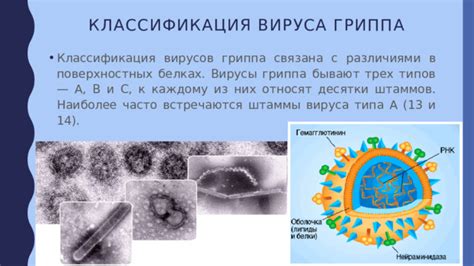  Места, где часто встречаются носители малярийного вируса 