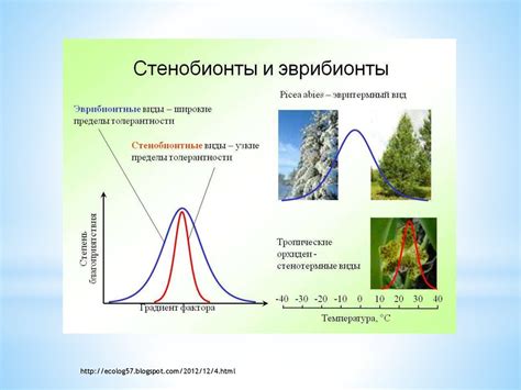  Микроклимат и элементы среды: факторы, оказывающие влияние на процветание шучки
