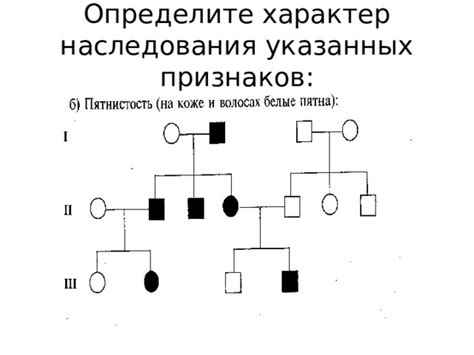  Описание принципа комбинированного наследования генетических признаков 