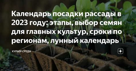  Определение оптимального времени и места для сбора ценного сока из растений
