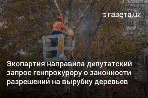  Органы государственной власти, отвечающие за выдачу разрешений на вырубку деревьев 