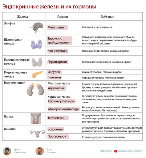  Основные возможности Lnb in и их важность 