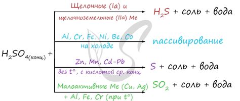  Особенности взаимодействия магния и разбавленной серной кислоты в различных условиях 