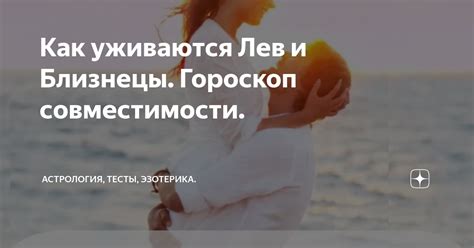  Особенности коммуникации внутри пар "близнецы-близнецы" и "лев-лев"