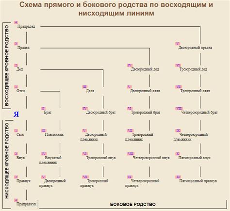  Отношение общества к союзам между родственниками четвертой степени родства 