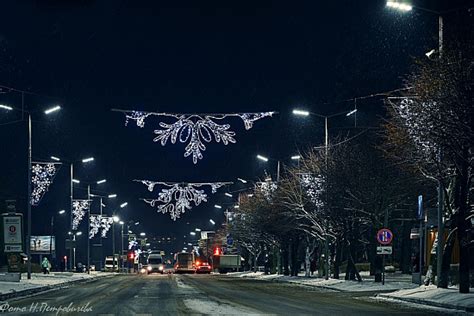  Очарование и волшебство соснового бора 