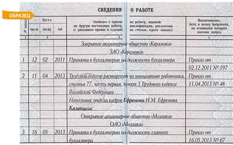  Ошибки при заполнении заявления: как избежать неприятных ситуаций