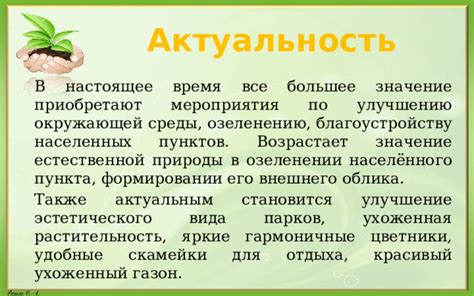  Повышение внешнего вида растения: создание эстетического облика 