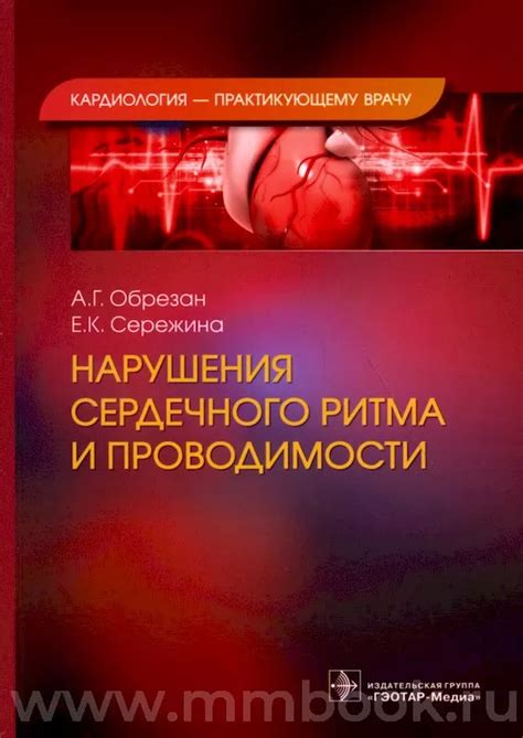  Подходы к начальному анализу сердечного ритма 