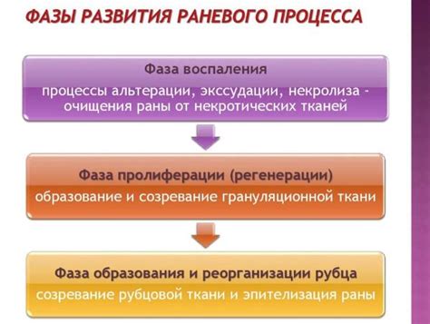  Подходы к обработке раневого процесса в состоянии гноя и некроза 