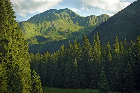  Поиск идеальных добыч для создания качественных шкур: горы и леса 