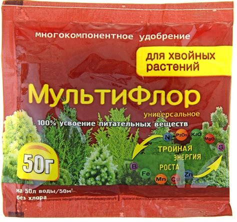  Полив и удобрение виноградной лозы на приусадебном участке в окрестностях Москвы 