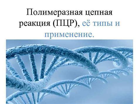  Полимеразная цепная реакция (ПЦР): основные принципы и применение 