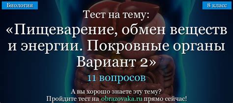  Положительное воздействие  корицы на обмен веществ и пищеварение 