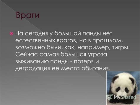  Понимаем, как внешность способствует выживанию и обману врагов у камчатной скатерти 