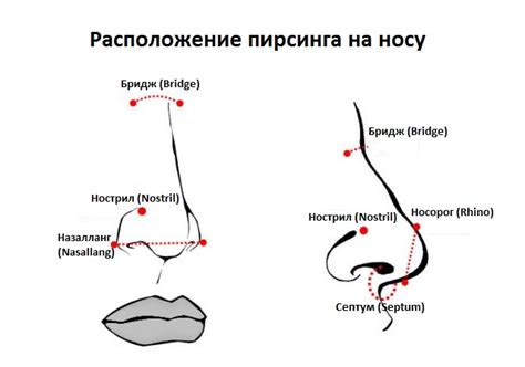  Популярные салоны пирсинга носа в Перми: рейтинг и отзывы клиентов 