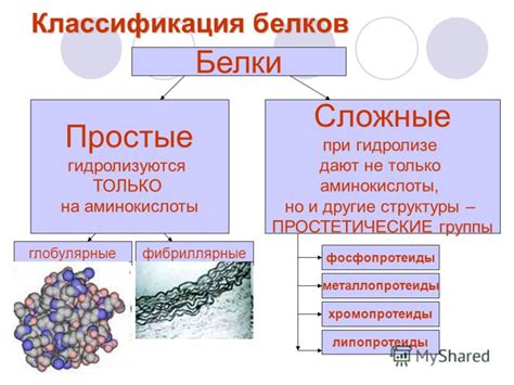  Потенциальные сложности при употреблении только растительных белков 