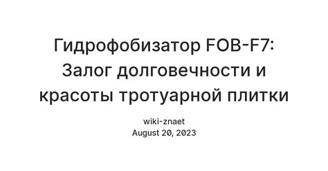  Правильное обращение с кожаной одеждой: залог долговечности и эстетического вида 