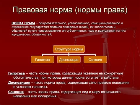  Правовые нормы: фундамент источника права 