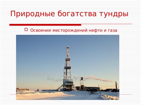  Природные богатства северных регионов: находки нефти и газа 