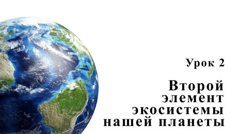  Природные феномены и уникальные экосистемы: необычные местности нашей планеты