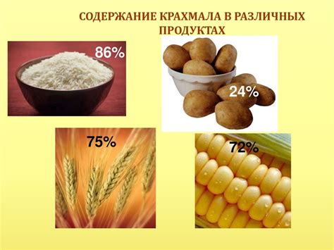 Присутствие крахмала в различных предметах повседневного использования 