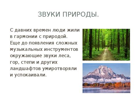  Произведения природы: звуки скрытой гармонии 