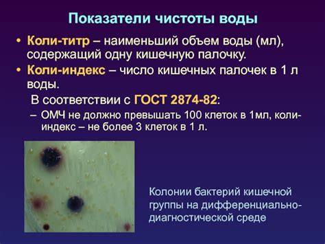  Происхождение микроорганизмов в кишечных отходах 