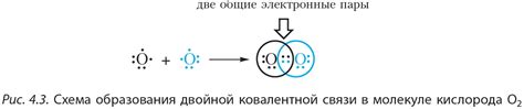  Просмотр общих связей 