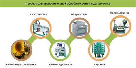  Процесс добывания и обработки масла из семян кедра 