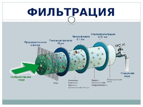  Процесс фильтрации и разлива вина 