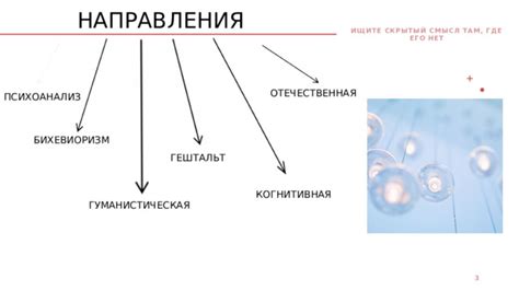  Психоанализ в толковании: скрытый смысл снов о пище и протеине в них 