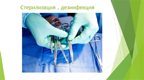  Психологический аспект: стерилизация и сознательное обязательство хозяина 