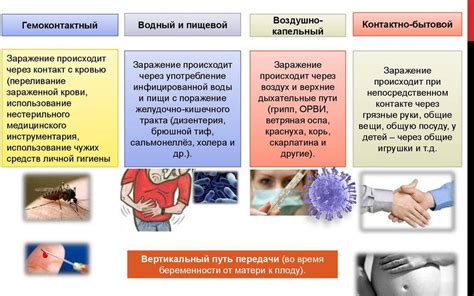  Пути передачи папилломавируса 