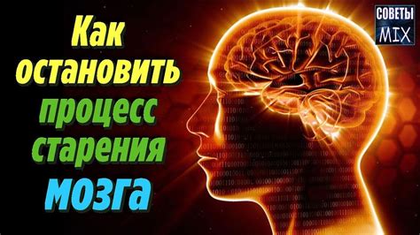  Раздел 1: Миф или реальность - возможность остановить процесс старения организма 