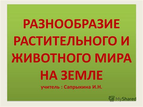  Разнообразие животного и растительного мира на горе Аоцан