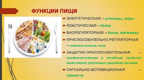  Рацион кота: настройка баланса белка и углеводов 