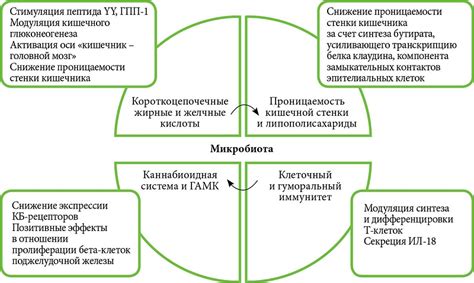  Роль гипертиреоза в нарушении энергетического баланса организма 